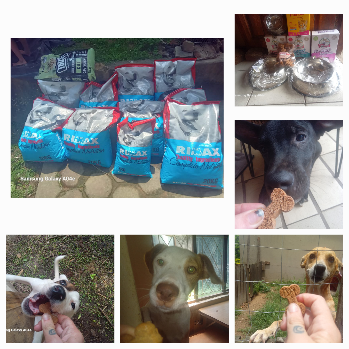 Kumandra Rescue & Outreach
